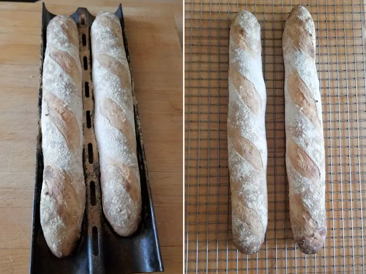 Sourdough Baguettes - Baking Sense®