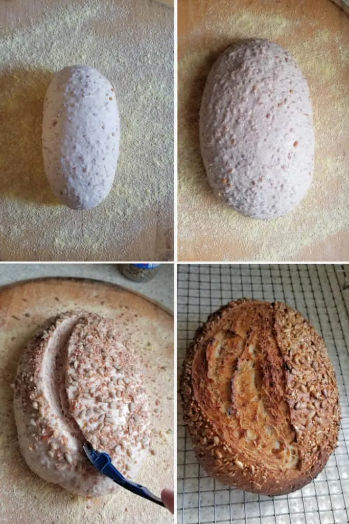 four photos showing how to shape, rise, score and bake a loaf of sourdough cracked wheat bread