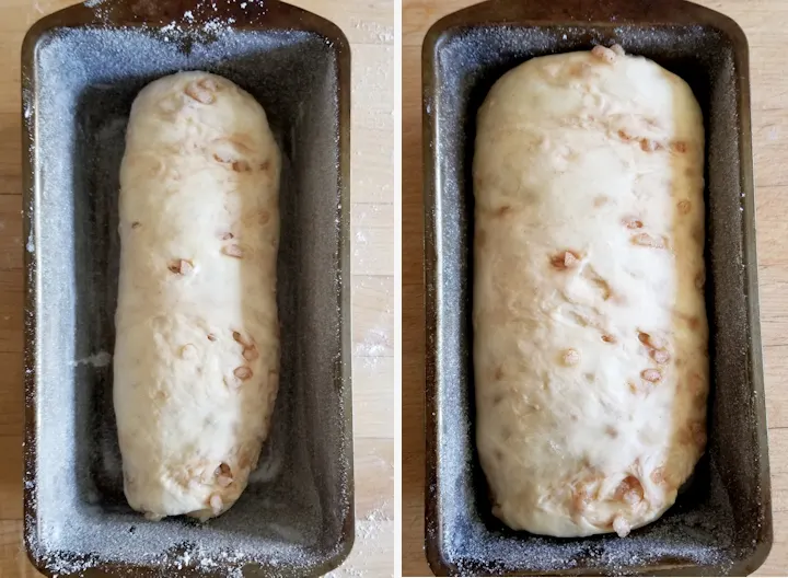 two photos showing sourdough suikerbrood before and after rising.