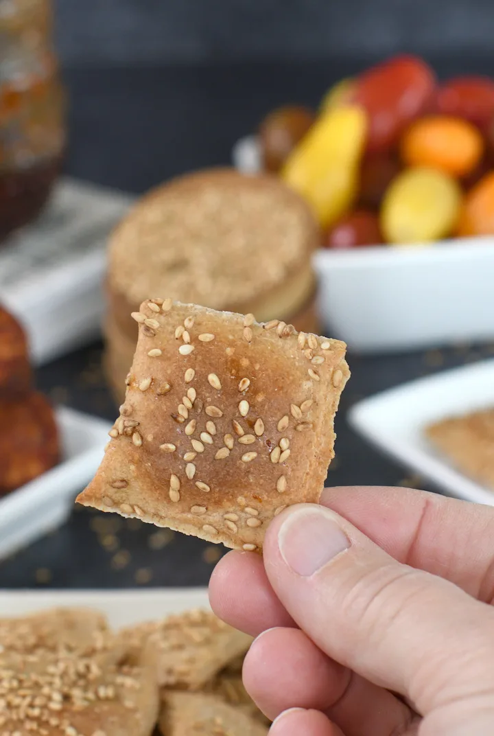 a hand holding a sourdough cracker