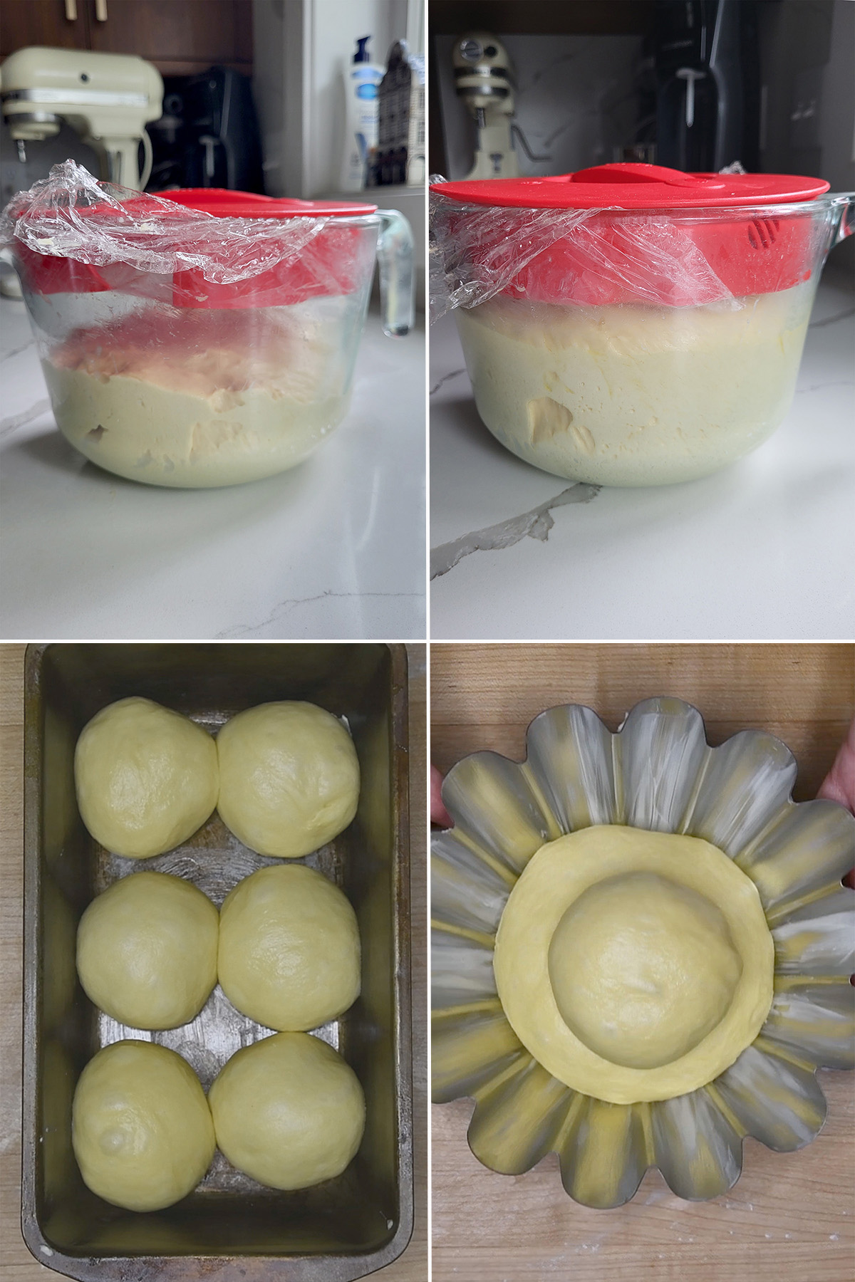 brioche dough in a bowl and in a baking pan.