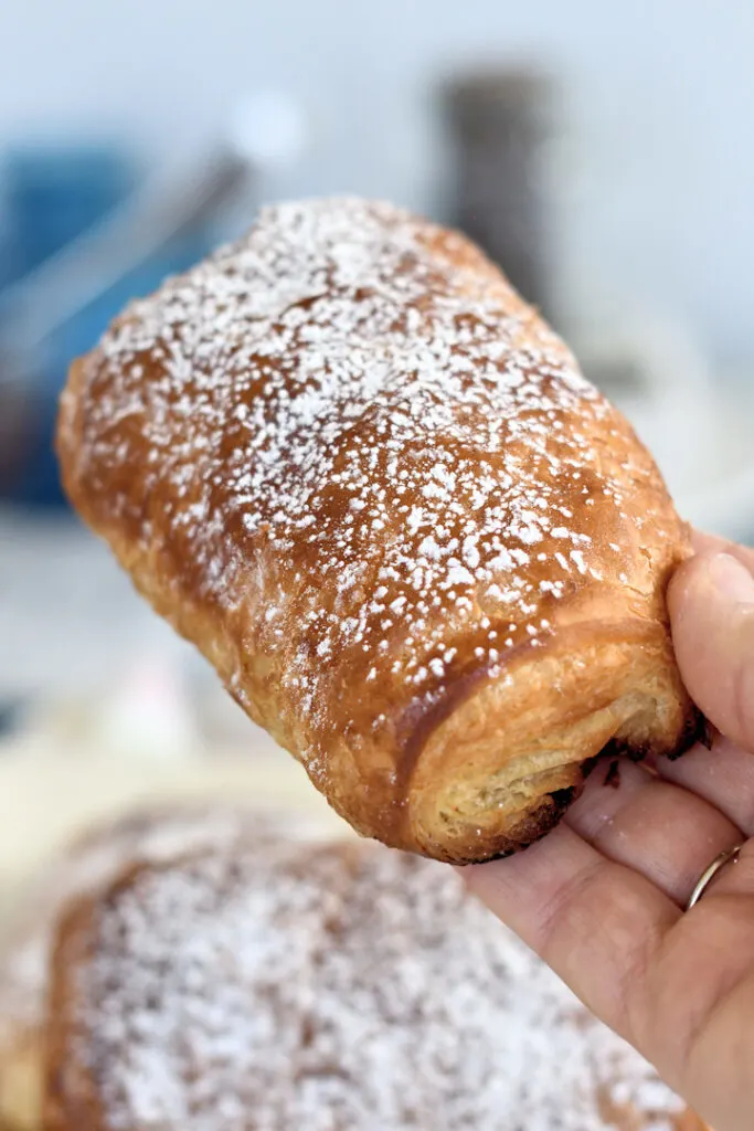 a hand holding a chocolate croissant sprinkled with powdered sugar