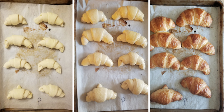 three photos showing croissants before and after proofing and after baking.