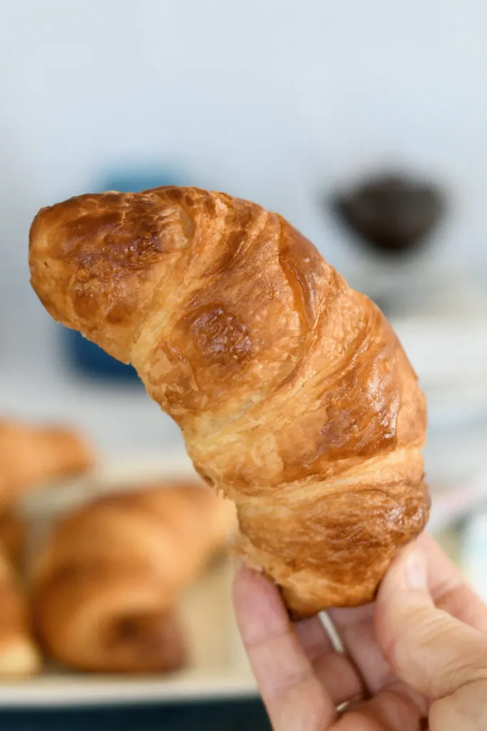 a hand holding a croissant