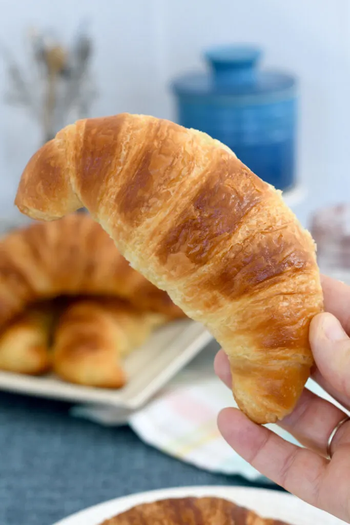 a hand holding a croissant