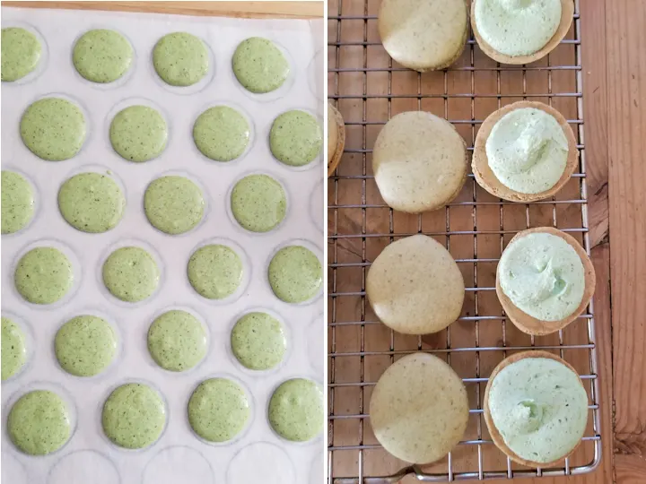 showing how to pipe and fill macarons