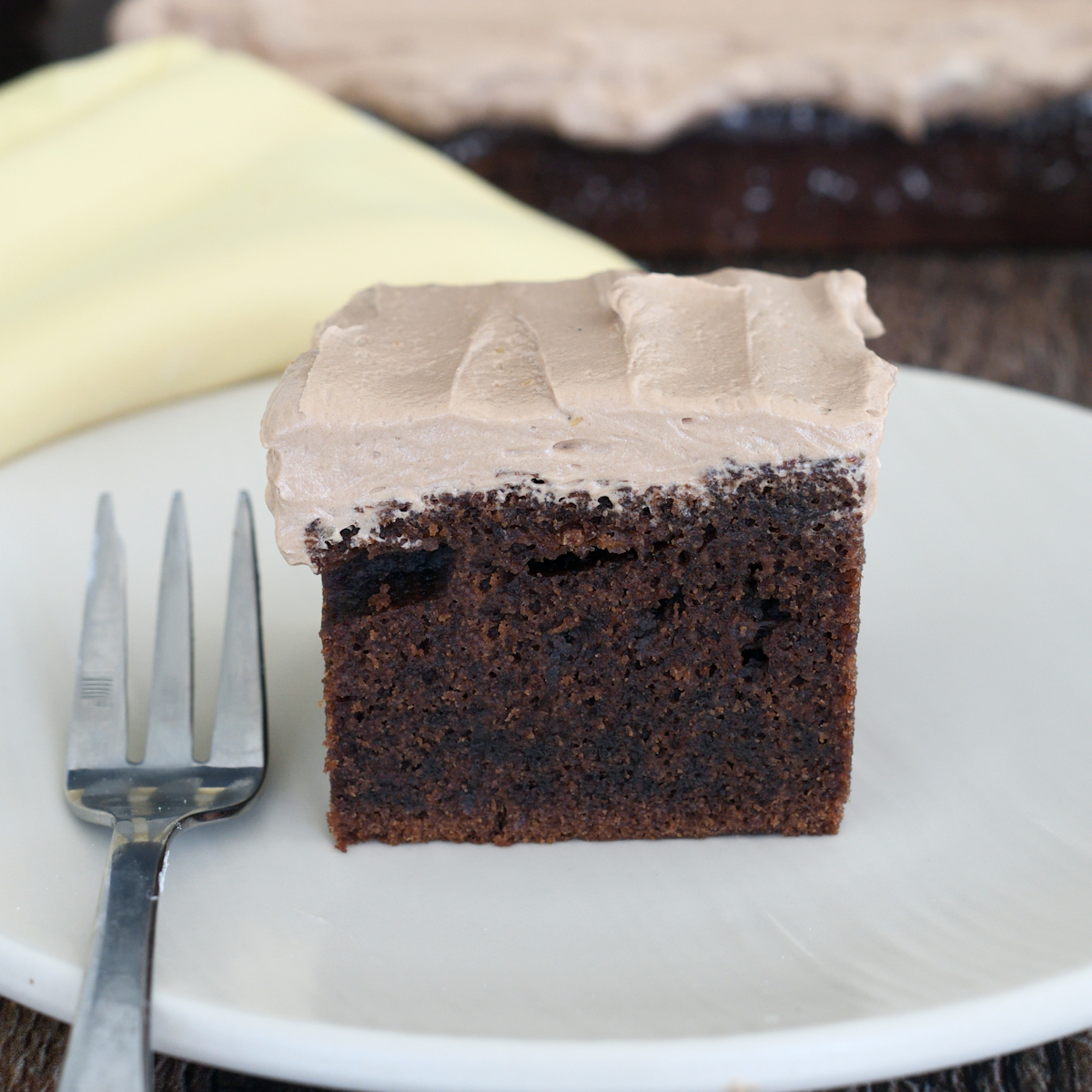 Sourdough Chocolate Cake