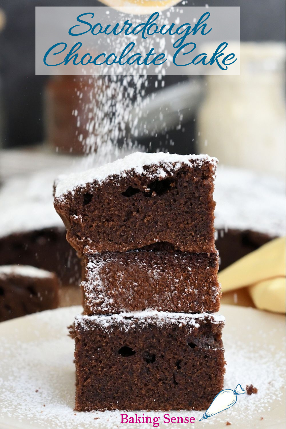 Sourdough Chocolate Cake Baking Sense®