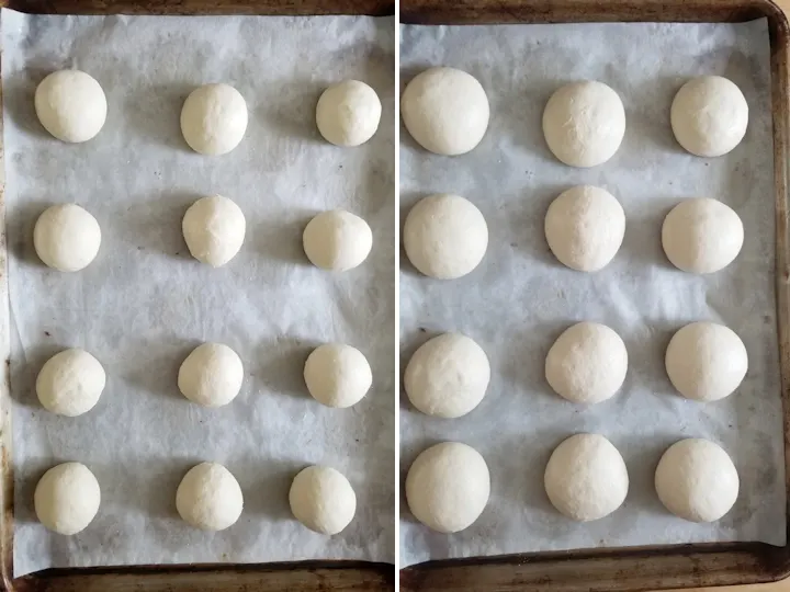 sourdough dinner rolls before and after rising