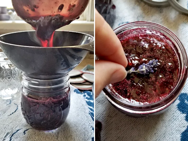 a photo of a funnel in a canning jar with preserves being poured. Placing a lavender blossom in a jar of blackberry preserves. 