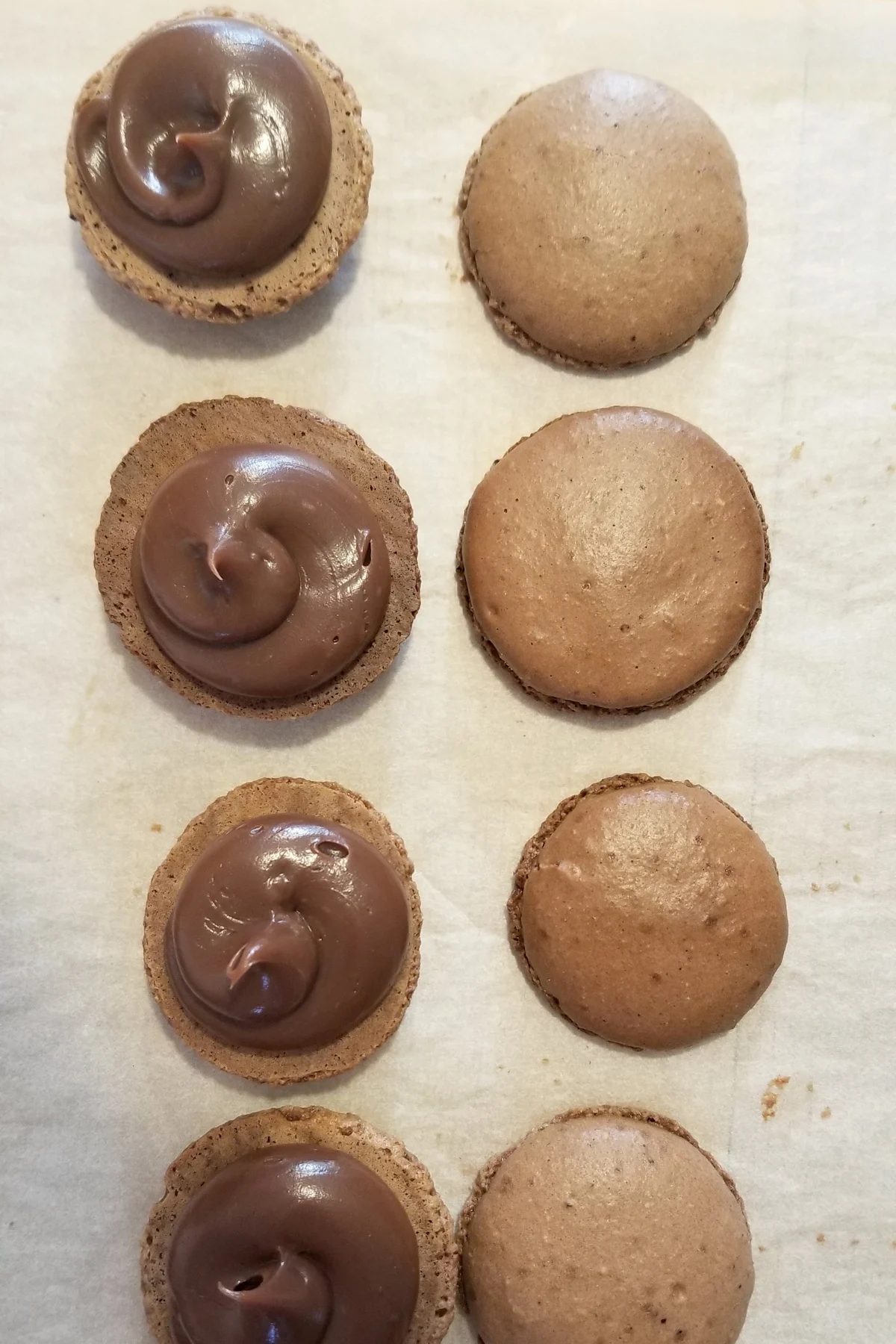 two rows of macaron shells, one row had ganache piped on them.