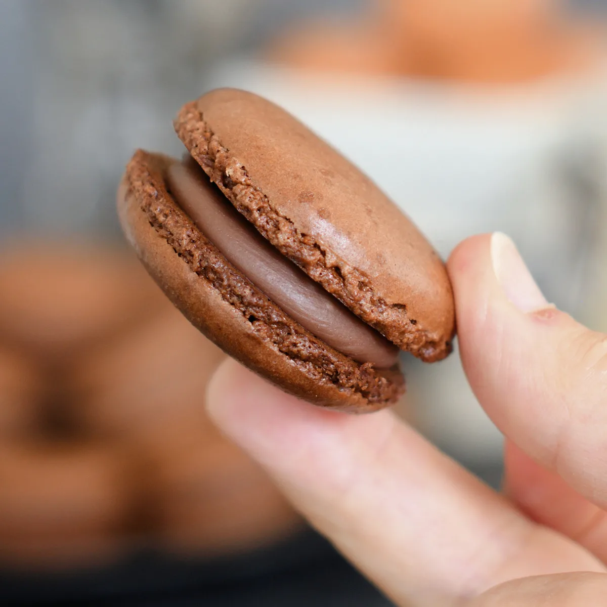 Chocolate Macarons