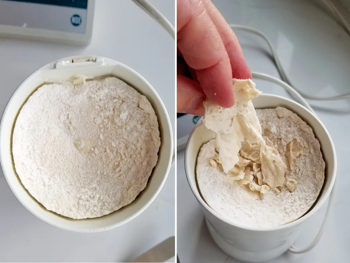 sourdough powder in a spice grinder and adding extra sourdough chips for grinding