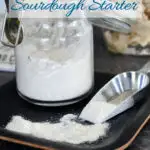 an image for pinterest with text overlay for sourdough powder