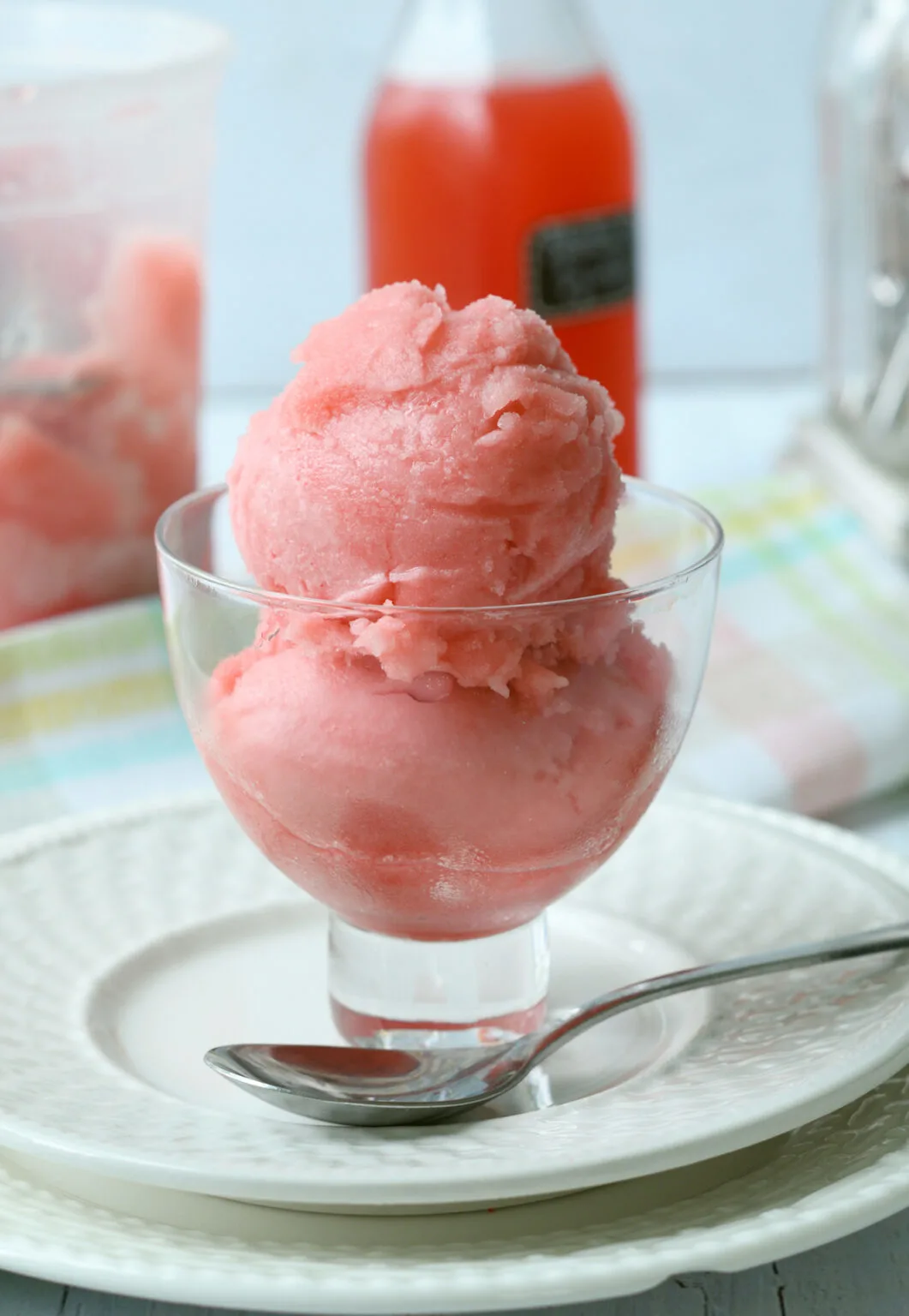 Rhubarb Sorbet Baking Sense®