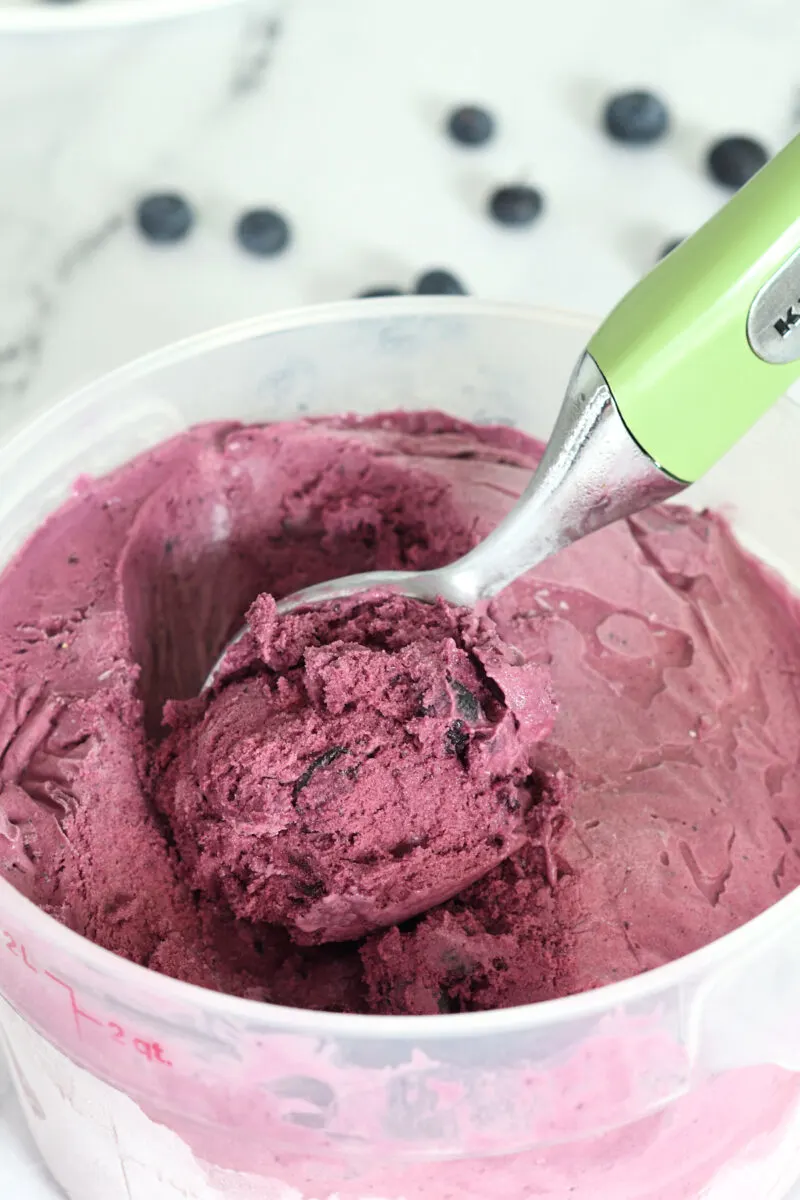 Homemade Blueberry Ice Cream Baking Sense®