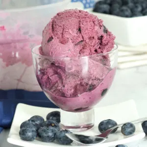 Homemade Blueberry Ice Cream