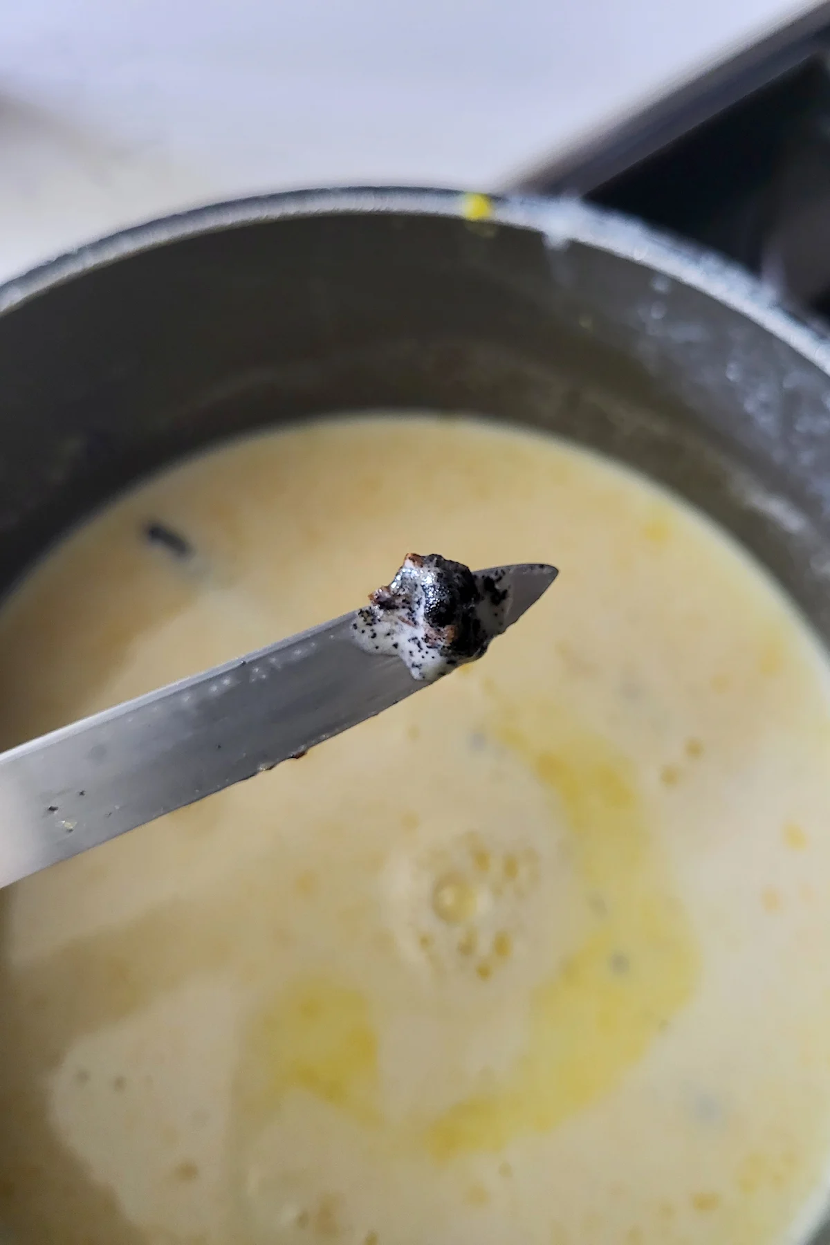 a knife with vanilla bean seed on the tip