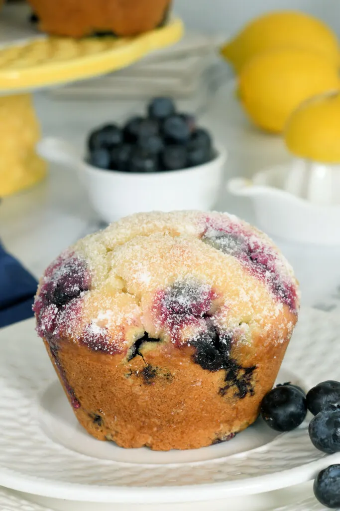 Luscious Sourdough Blueberry Muffins - Baking Sense®