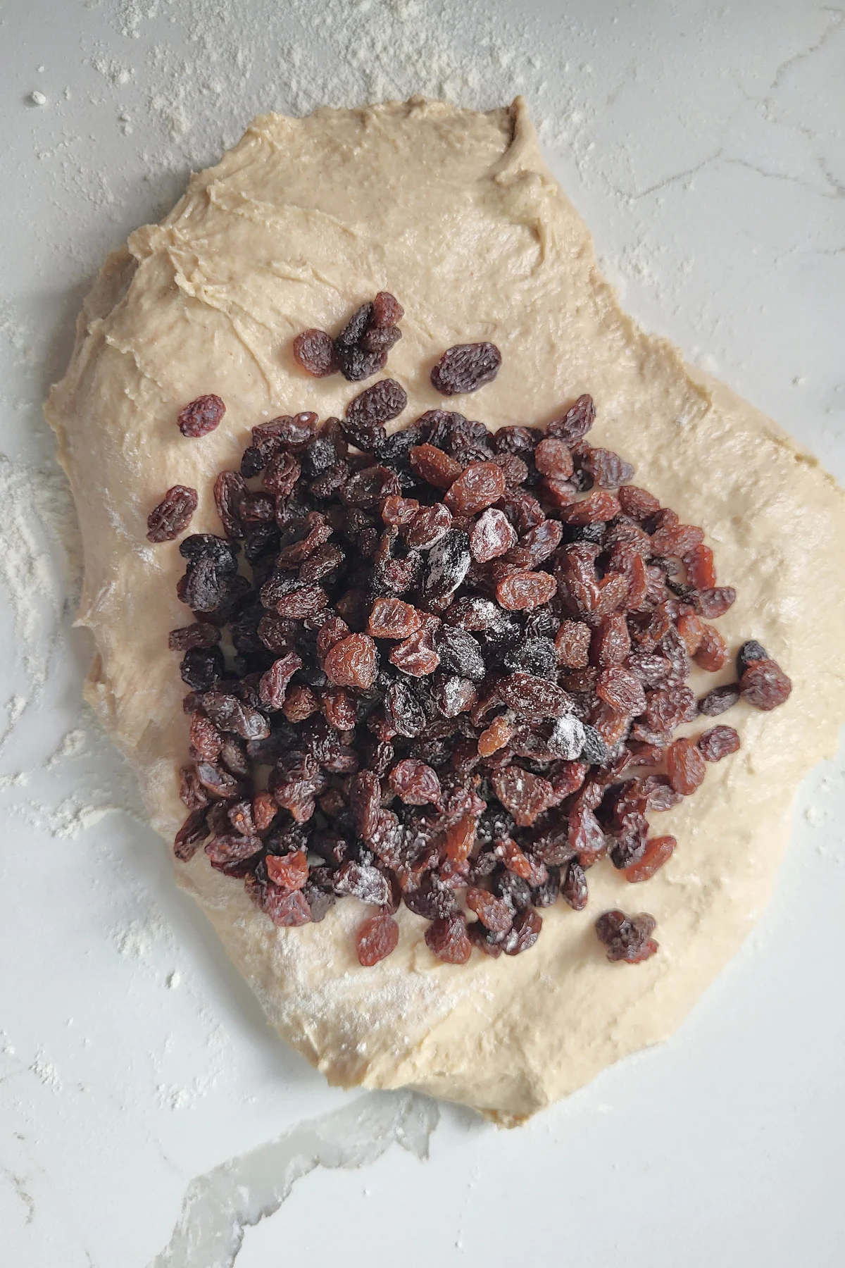 Bread dough with raisins