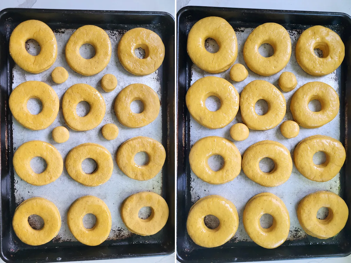 a tray of pumpkin donut dough before and after rising.