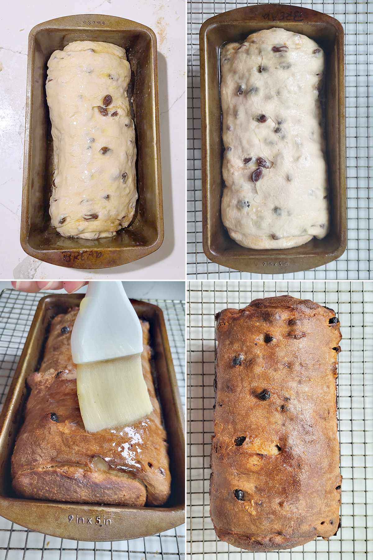 cinnamon raisin sourdough in a baking pan before and after rising and before and after baking.