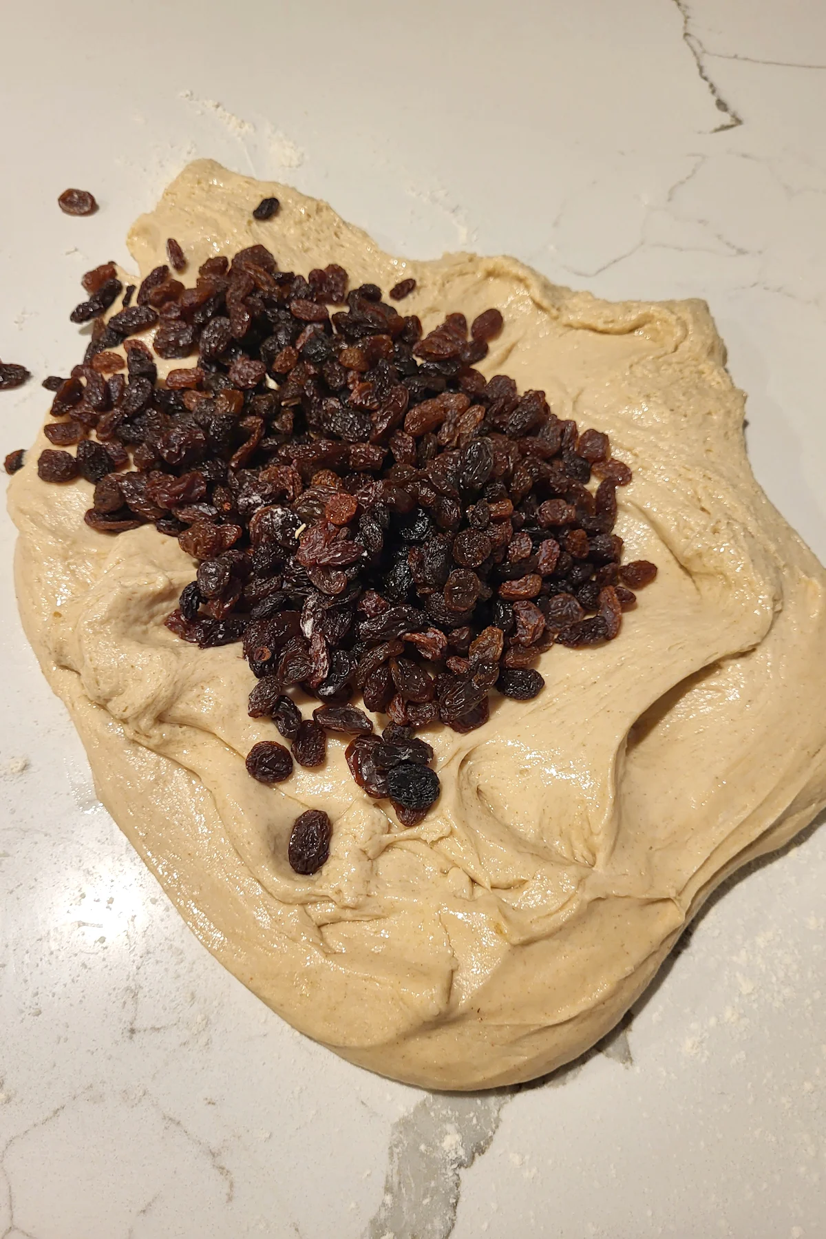 Bread dough toped with raisins.