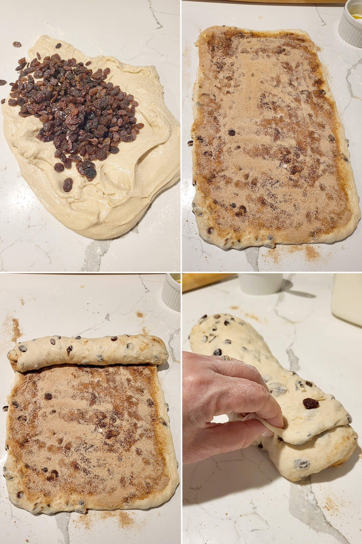 raisins on sourdough. Cinnamon sugar on sourdough. Rolling raisin sourdough with cinnamon to a log.