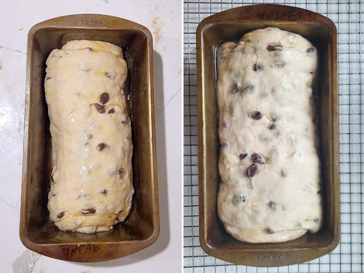 Raisin bread dough before and after rising.