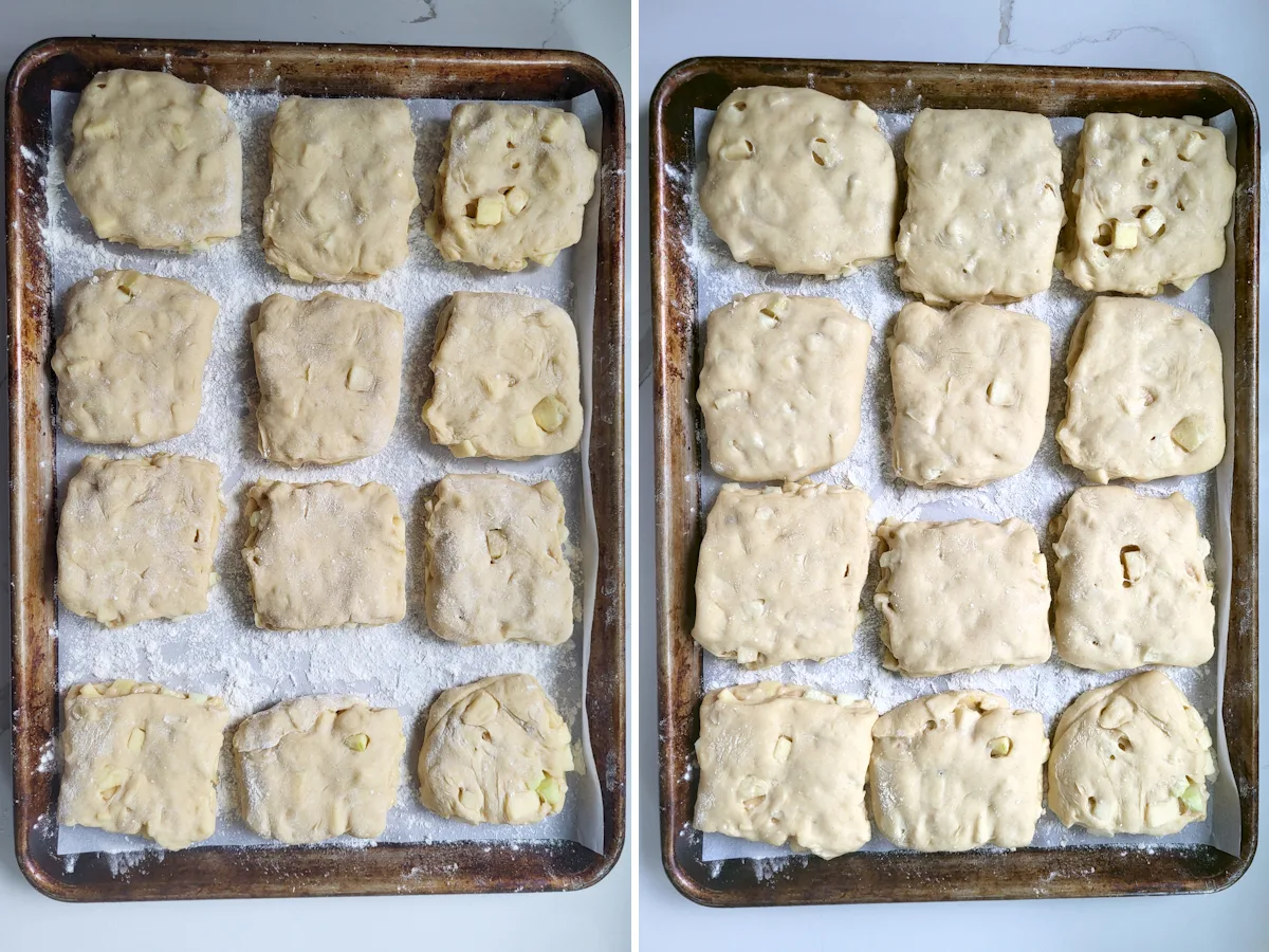 apples fritters on a tray before and after rising.