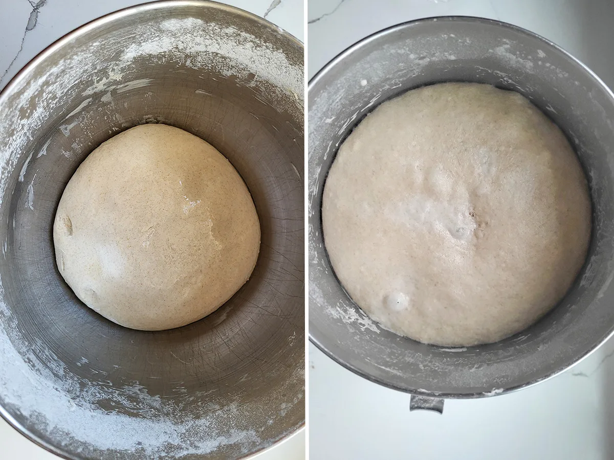a bowl of rye bread dough before and after rising.