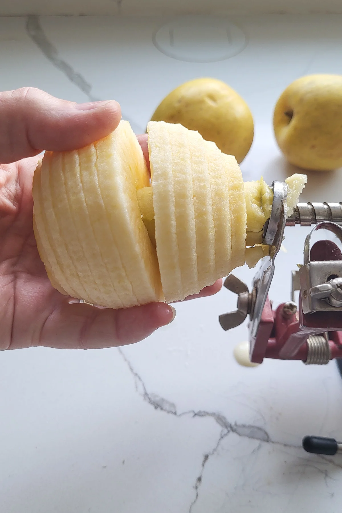 A slice apple on an apple peeler.