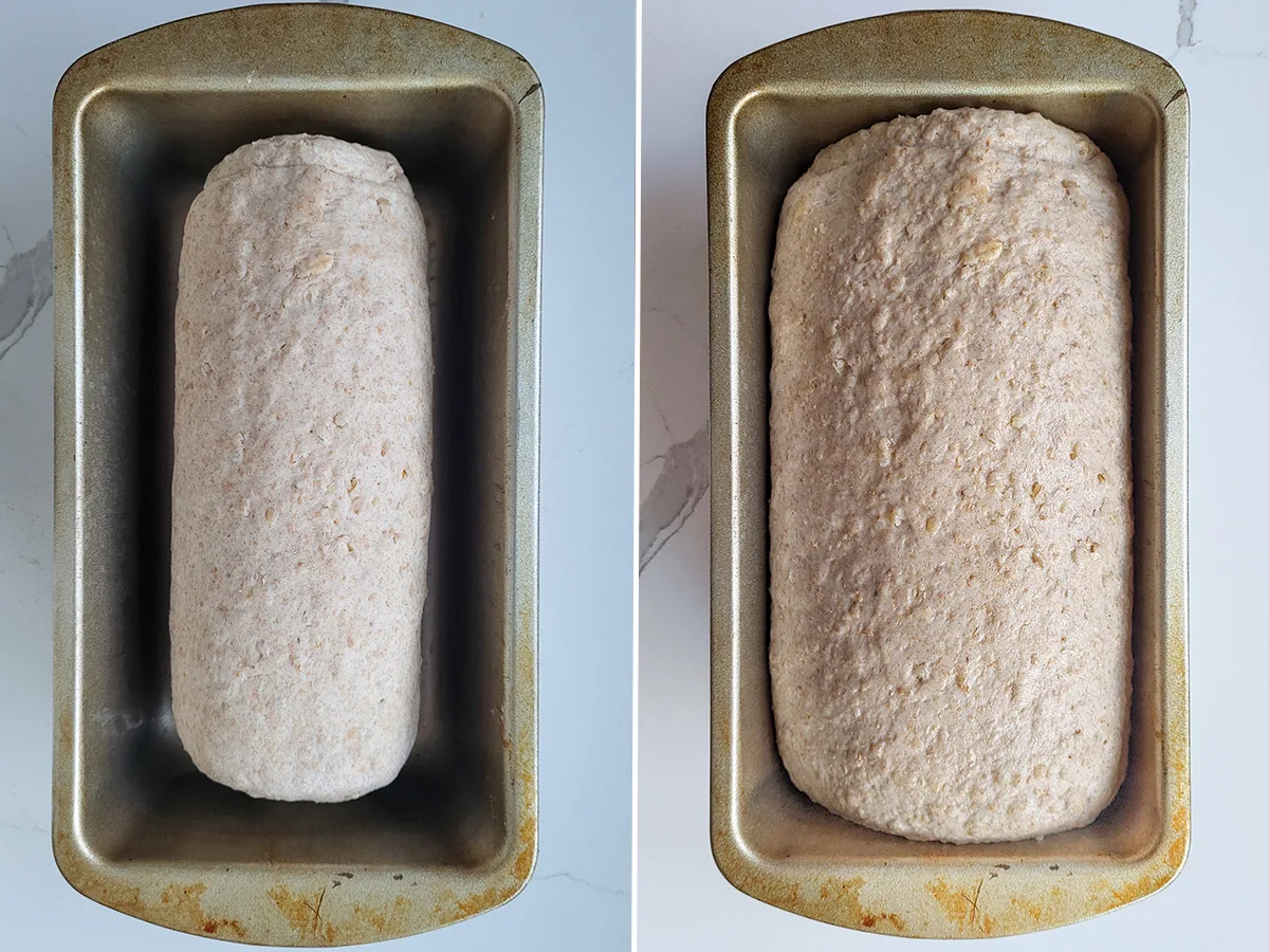 a loaf of sourdough multigrain bread in a pan before and after rising.