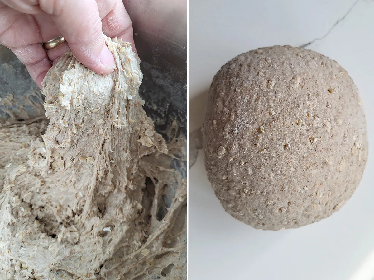 a hand stretching multigrain bread dough. A ball of sourdough multigrain bread.