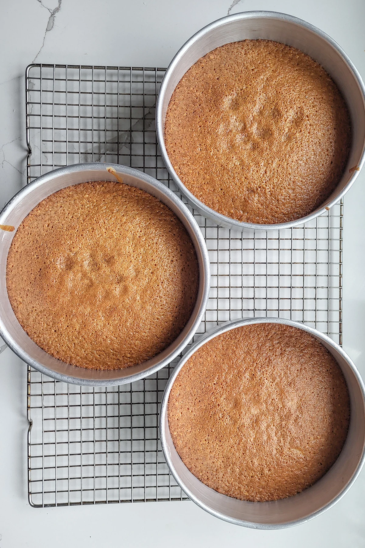 three cake pans with baked carrot cakes