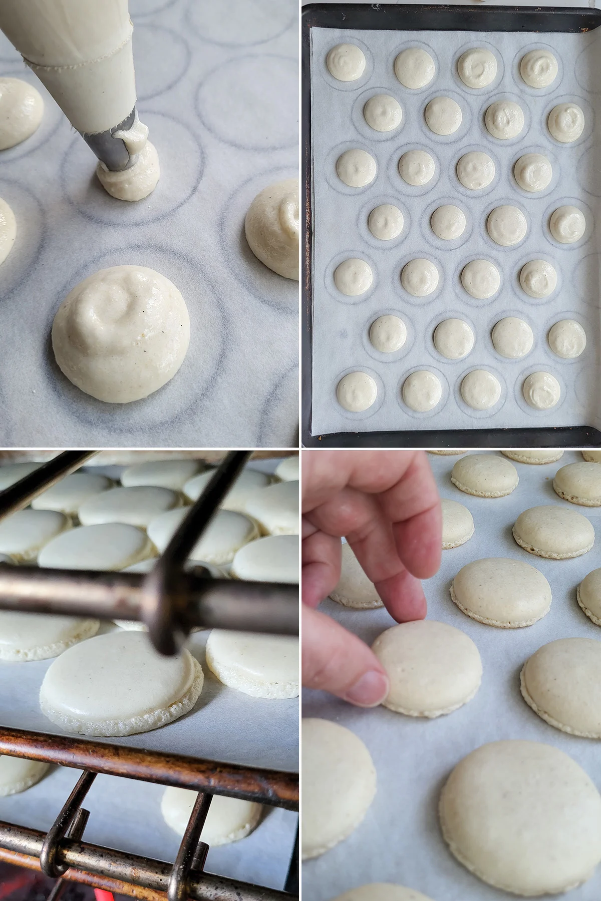 piping and baking macarons on a tray.