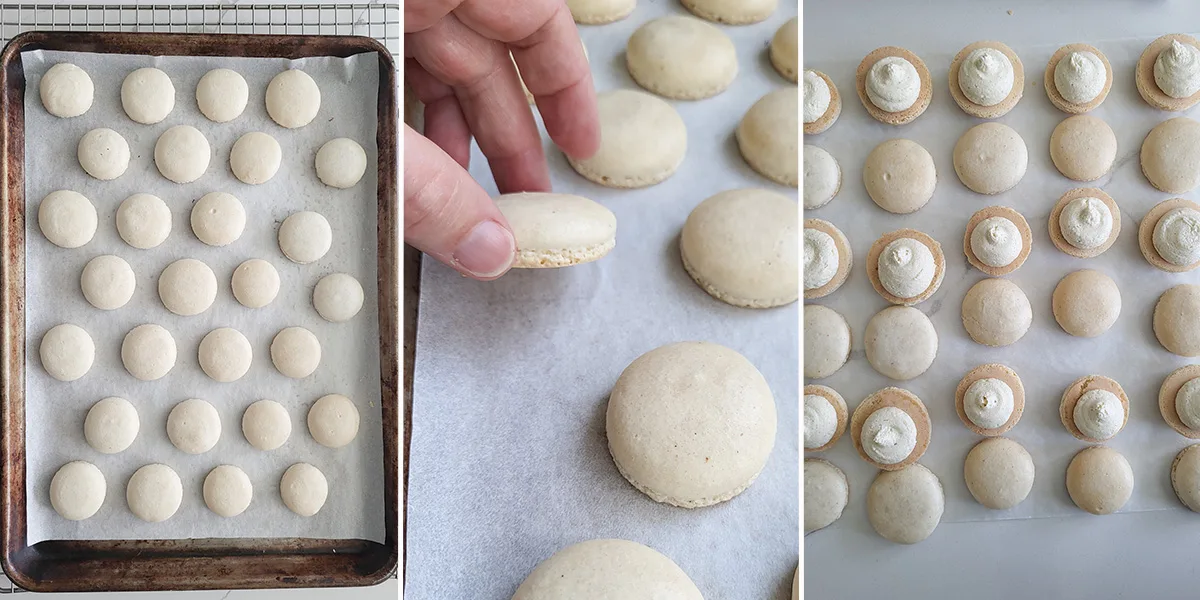 a tray of macaron cookies. Macarons with buttercream piped on half.