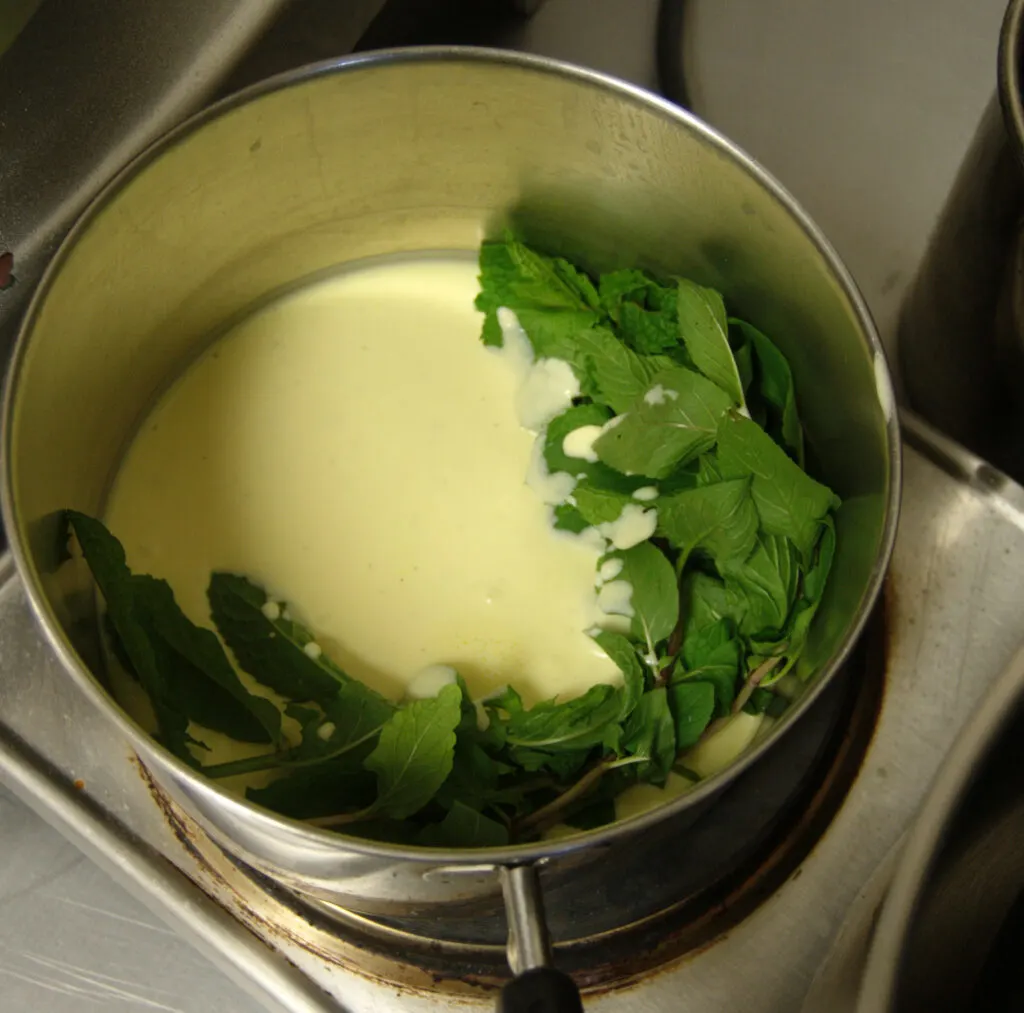 a pot with cream and fresh mint.
