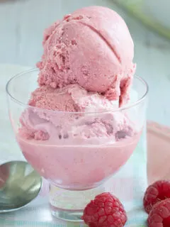 beauty shot raspberry ice cream.