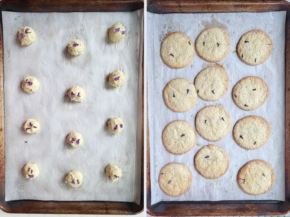 A tray of lavender cookies before and after baking.