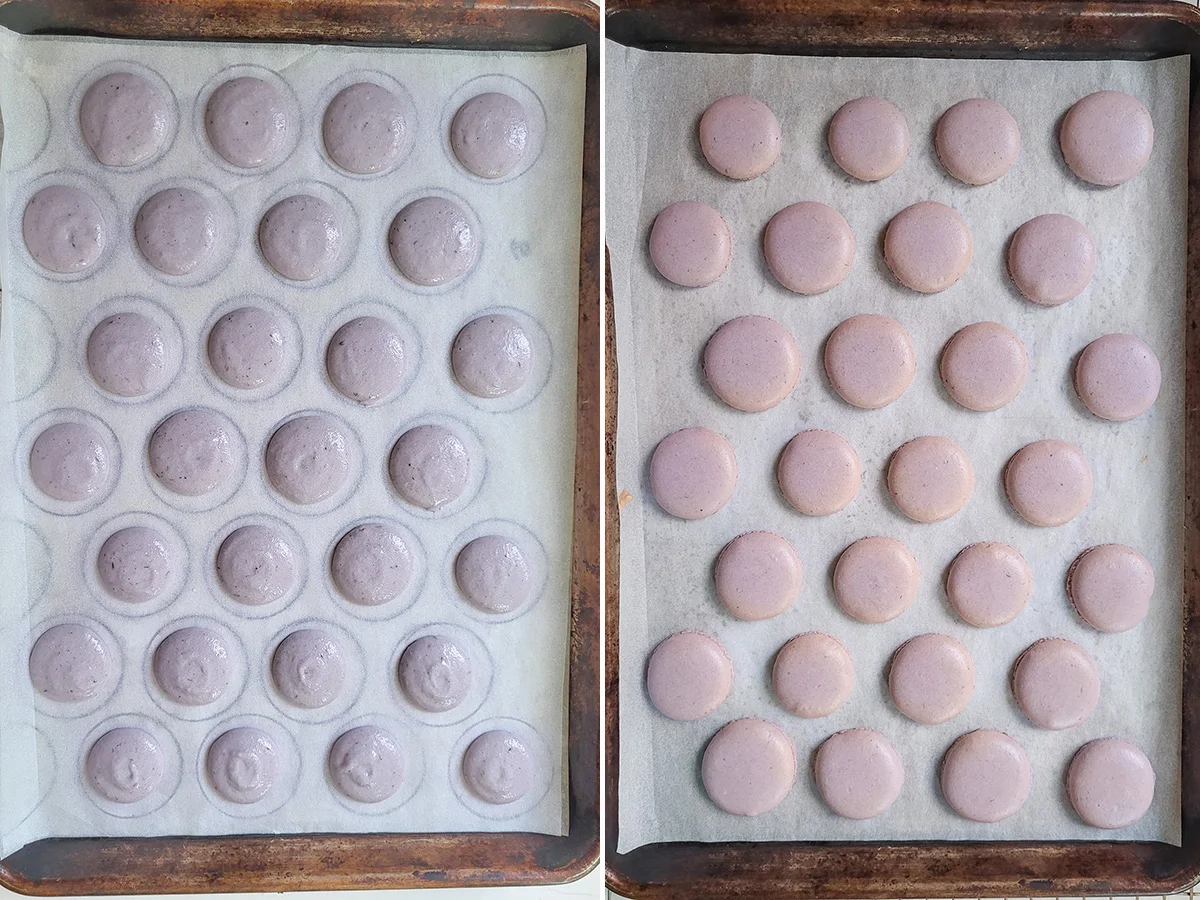 A tray of lavender macarons before and after baking.