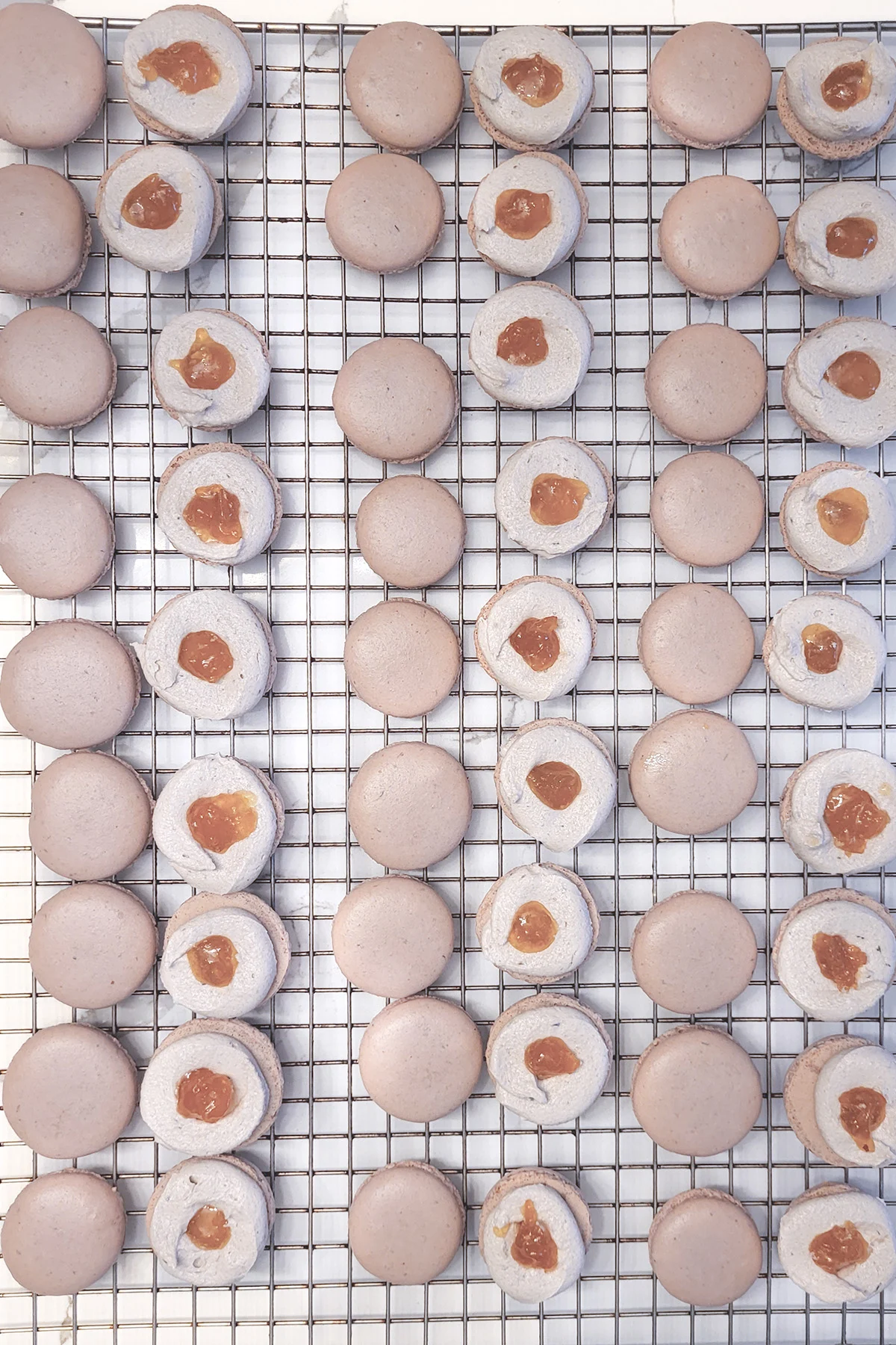 Lines of lavender macarons with filling on a cooling rack.