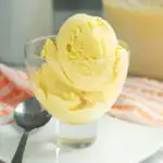 a cup of mango ice cream
