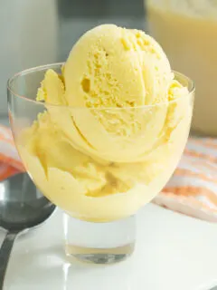 a cup of mango ice cream