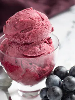 hero shot of concord grape sorbet in a glass dish.