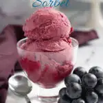a pinterest image for concord grape sorbet with text overlay.