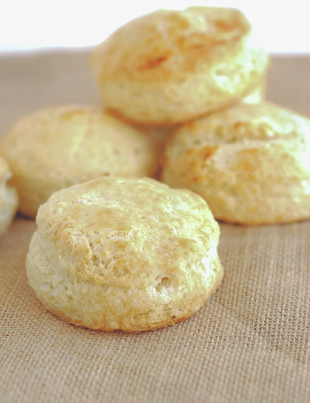 a biscuit on a beige cloth.