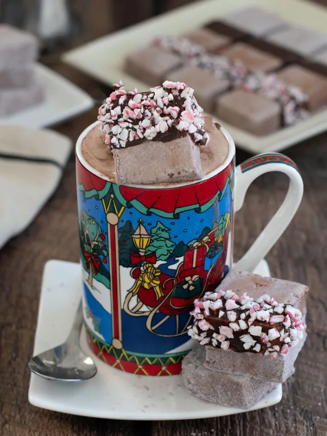 a cup of hot cocoa with a chocolate marshmallow.