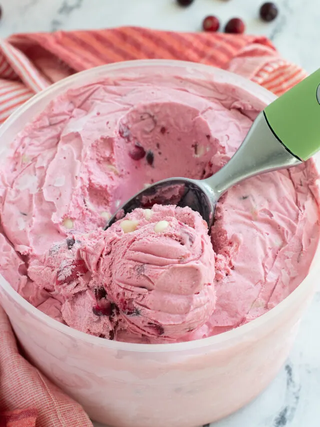 Homemade Cranberry Ice Cream