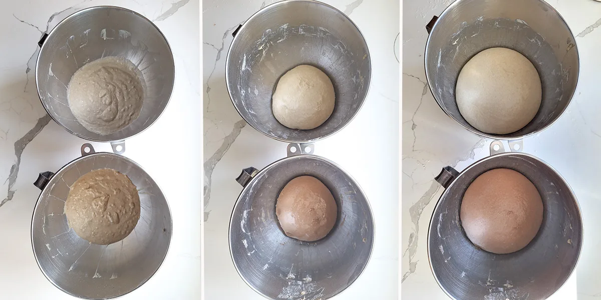 Two steel bowls with lighter and darker bread doughs.